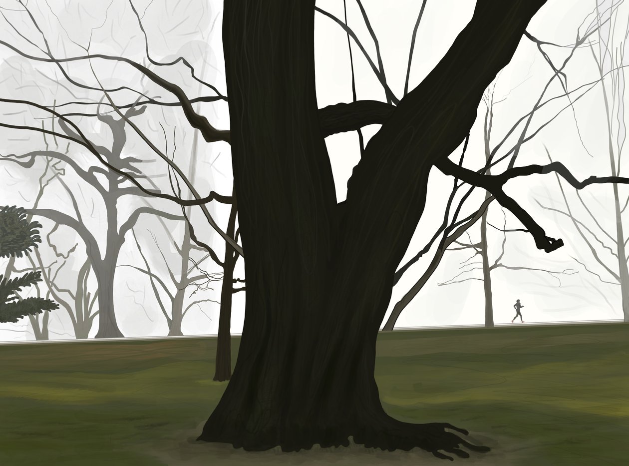 Árbol y Jogger. Temprano por la mañana. Prospect park (arte digital) de Evan Sklar