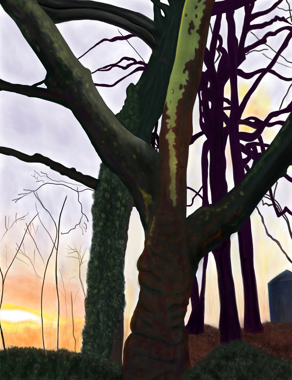 Árboles, Prospect Park, Brooklyn (arte digital) de Evan Sklar