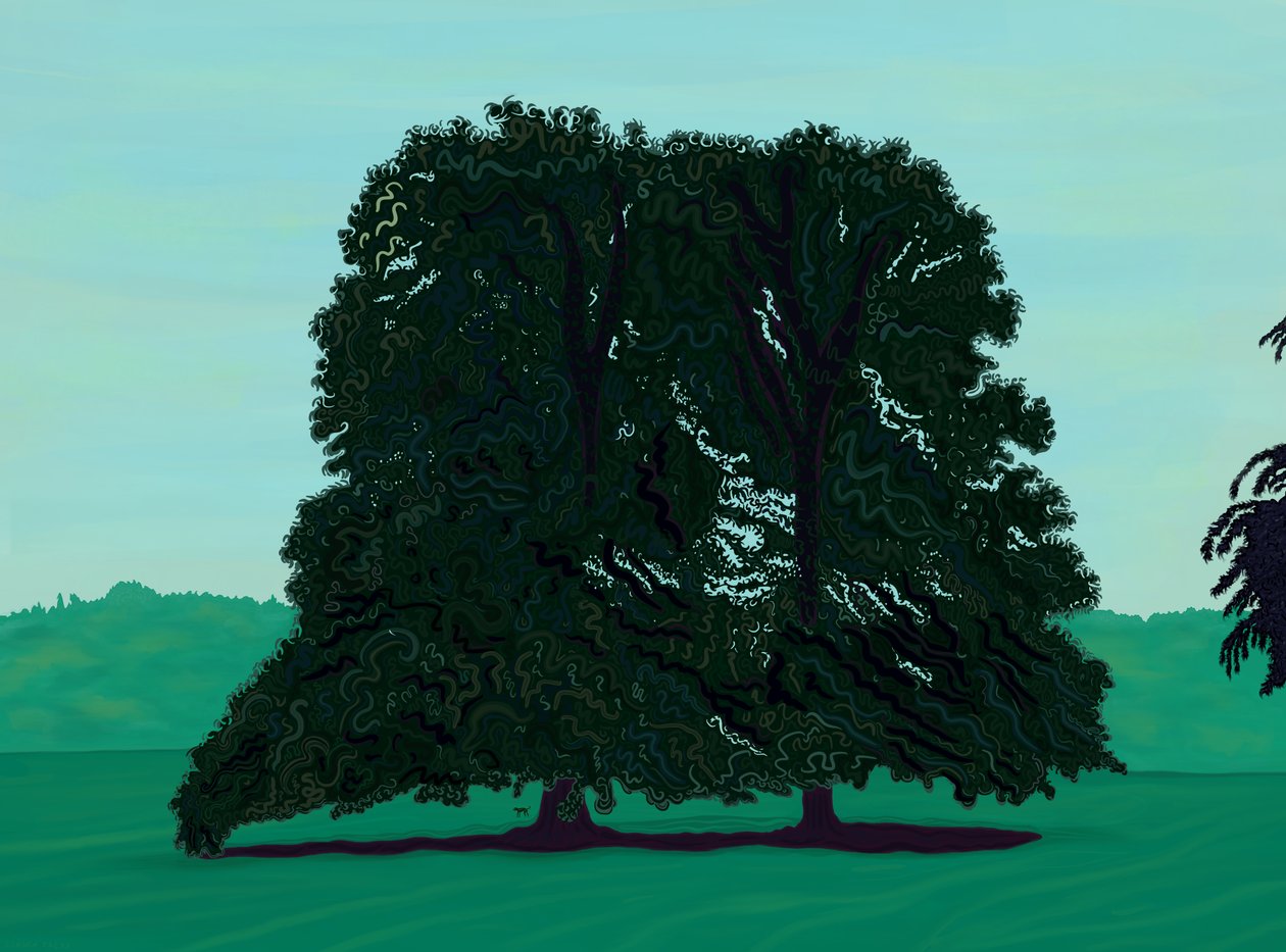 Dos árboles Lindsen en el campo (arte digital) de Evan Sklar