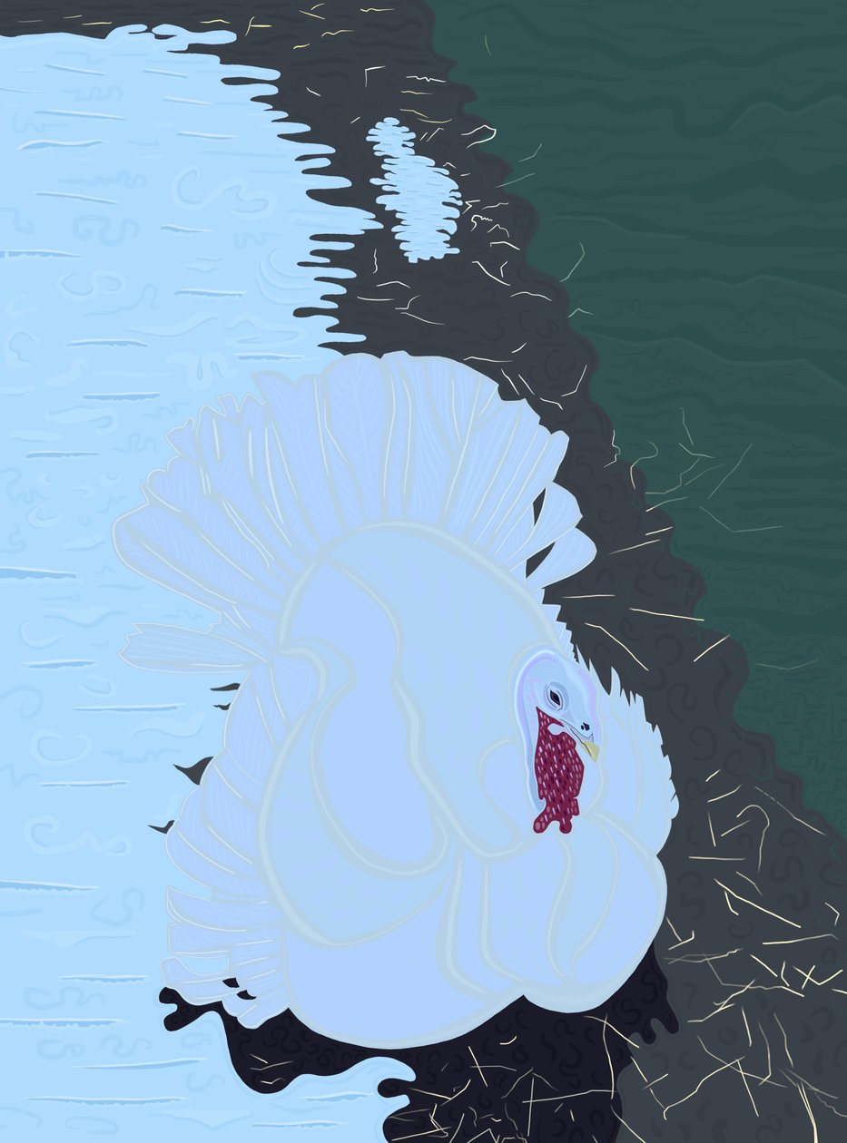 Pavo blanco en la nieve en la granja. (arte digital) de Evan Sklar
