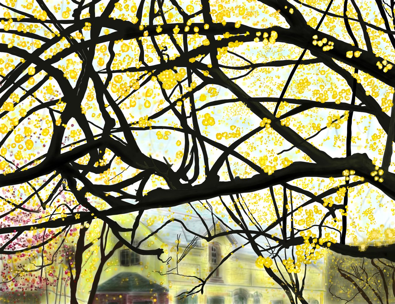 Yellow Blooming Tree, Brooklyn (arte digital) de Evan Sklar