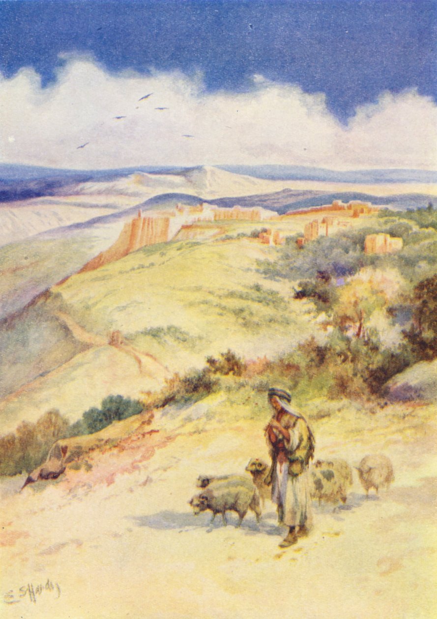  de Evelyn Stuart Hardy