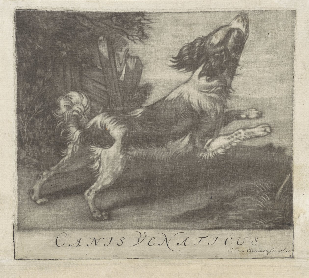 perro saltando Canis Venaticus (título sobre el objeto) de Evert van Sweinen