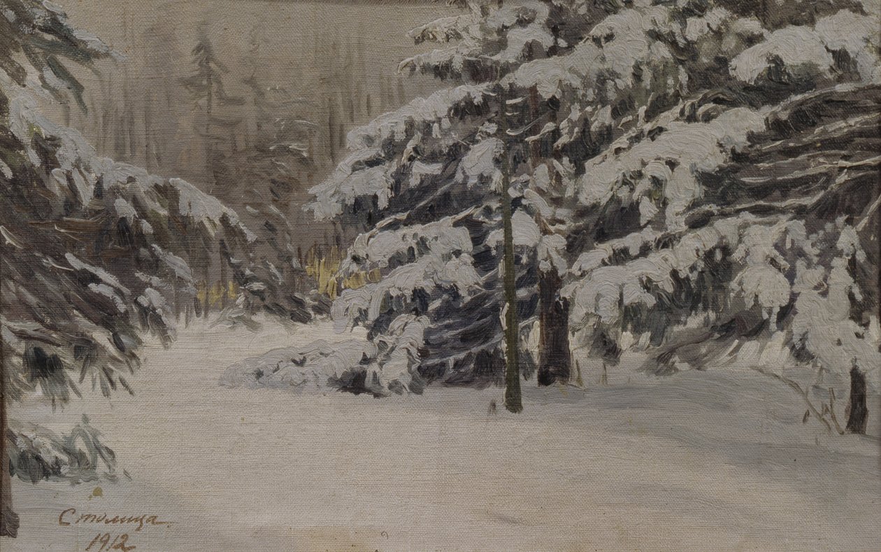 Invierno en las islas de San Petersburgo de Evgeni Ivanovich Stolitsa