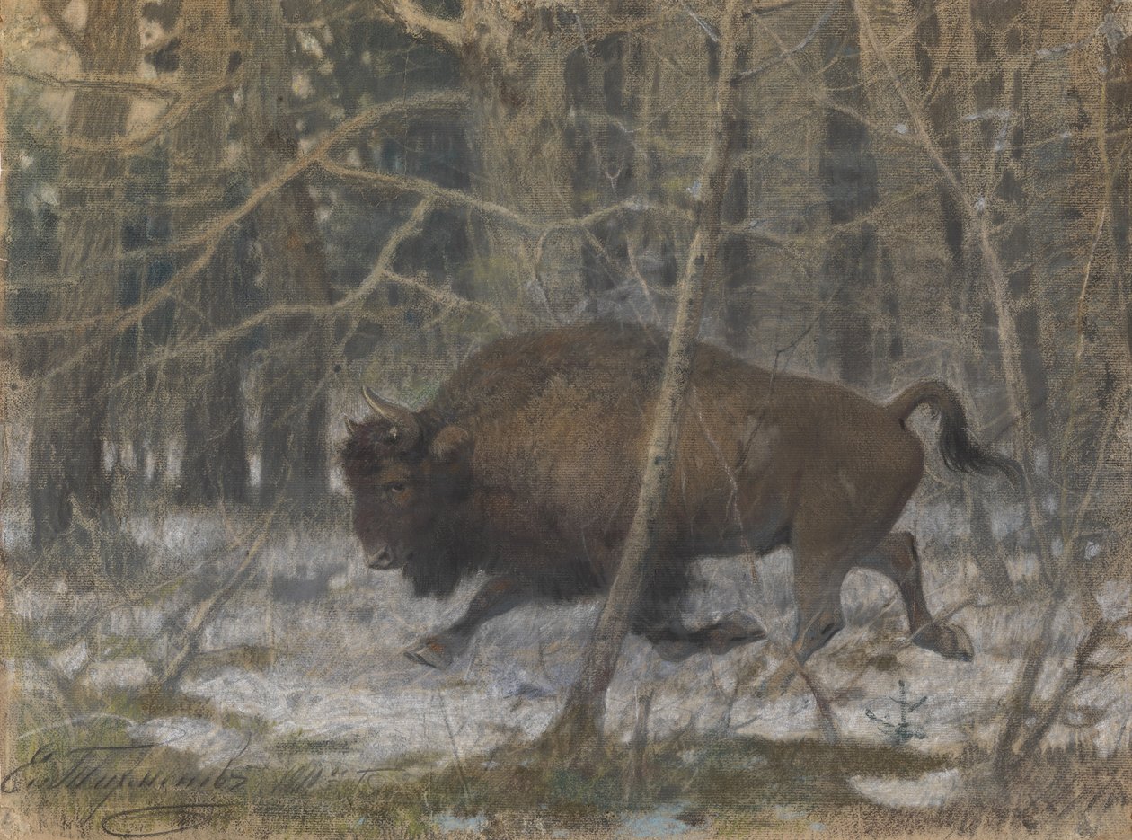 El bisonte de los bosques de Evgeny Alexandrovich Tichmenev