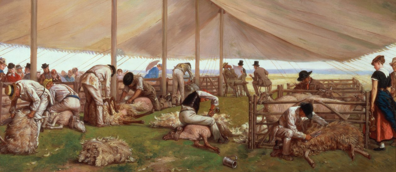 El concurso de esquila de ovejas, 1875 de Eyre Crowe