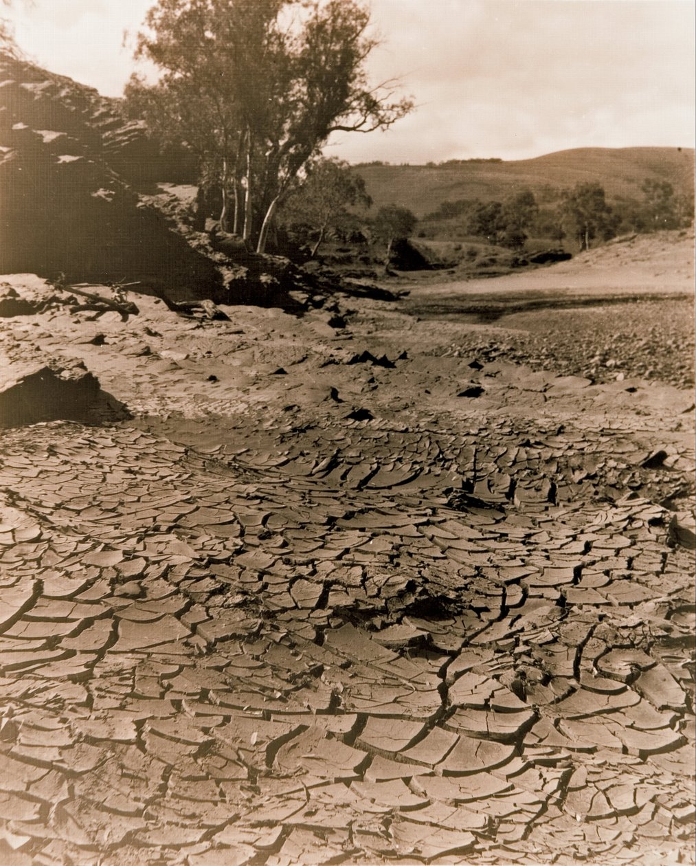 La piscina desaparecida, Flinders Ranges de F. A. Joyner