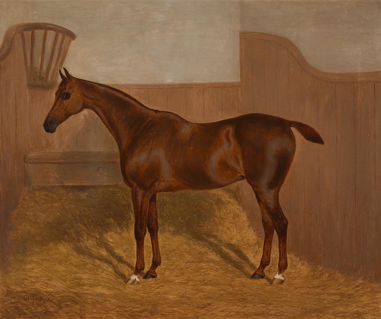 Retrato de caballo (Lady Oswestry o Dandy, uno de dos cuadros ofrecidos en un lote con estas denominaciones) de F. Clifton
