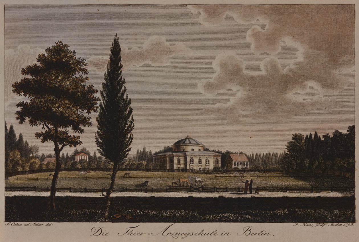 La escuela veterinaria, Berlín, 1795 de F.A. Calau