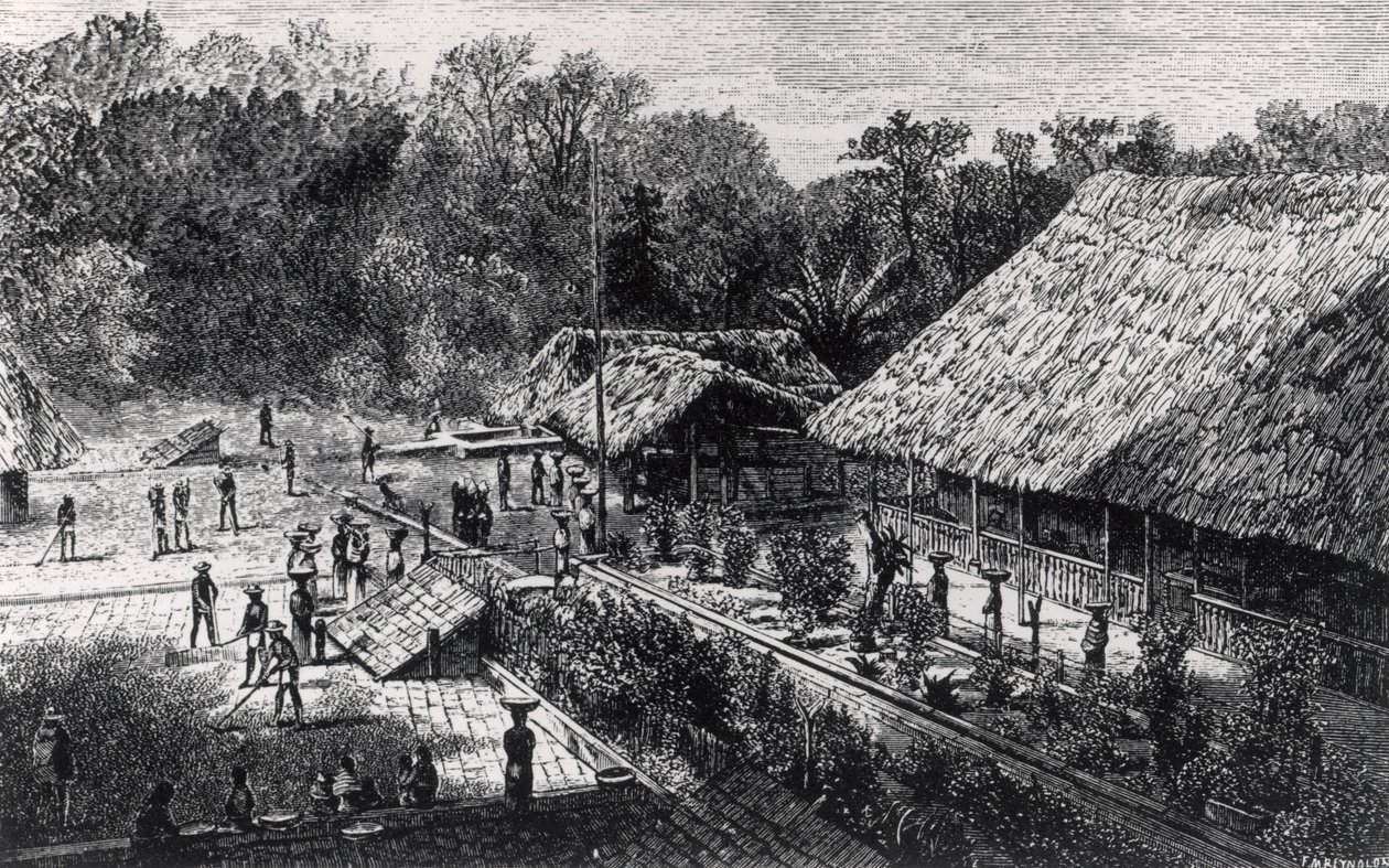 Trabajadores en una plantación de café de F.M. Reynolds