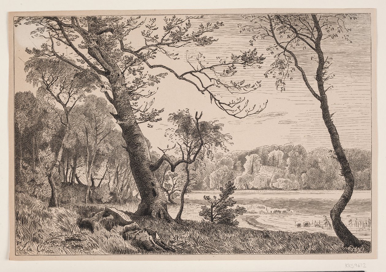 El bosque cerca de Silkeborg hacia el banco de la señora de F. Hendriksen