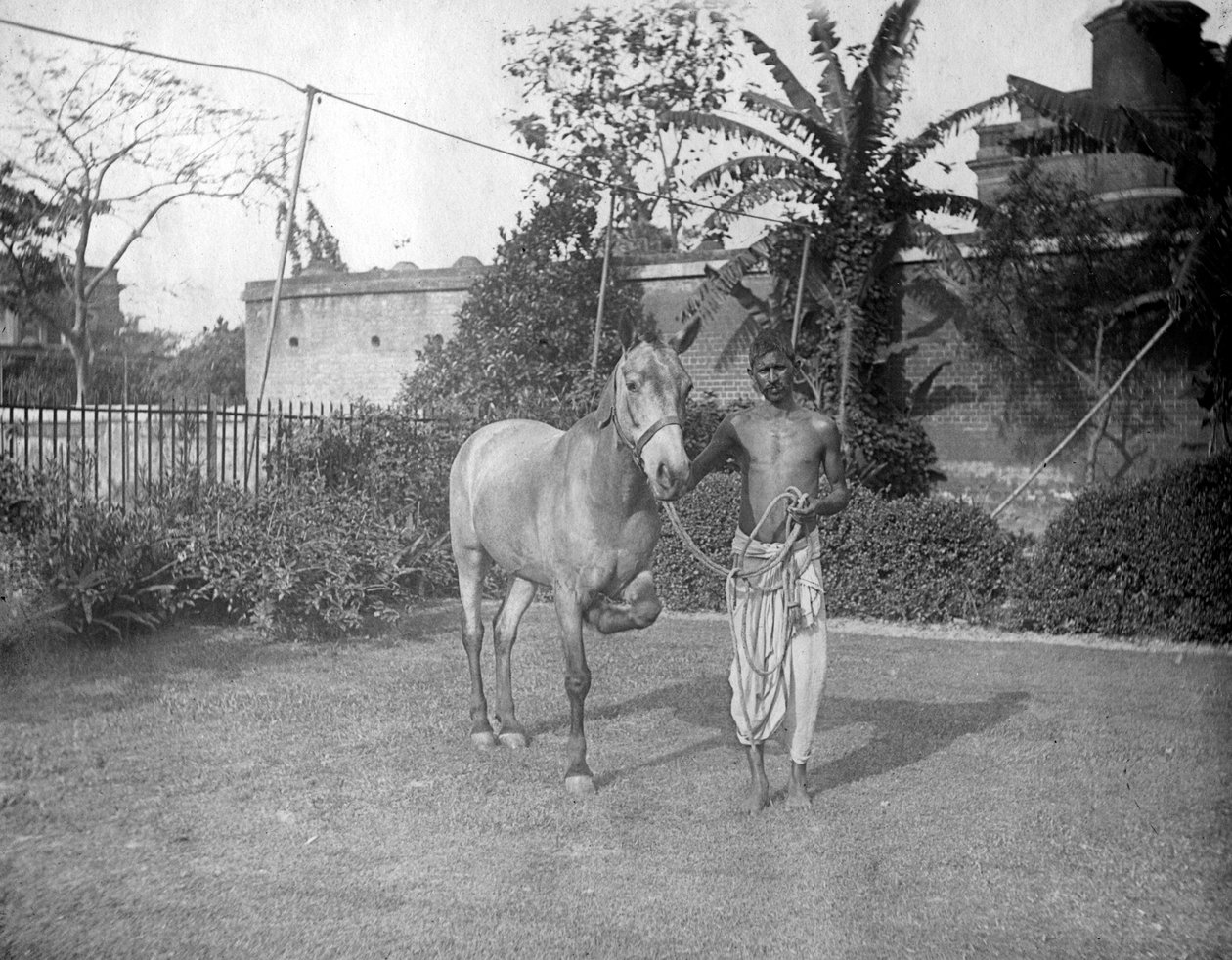 Hombre con un caballo, Alipore, India, 1905-1906 de F. L. Peters