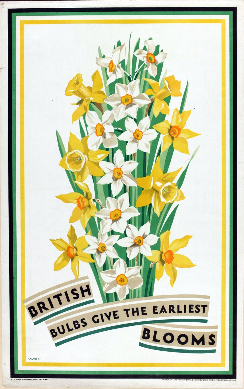 British Bulbs Give the Earliest Blooms, de la serie "British Bulbs for Home Gardens" (litografía en color) de Fawkes Fawkes