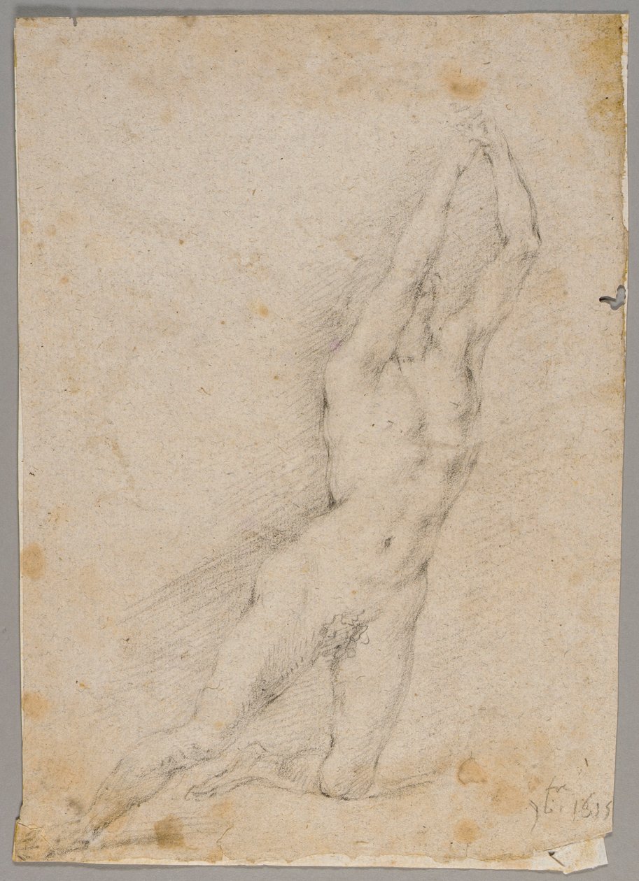 Dibujo de Fedele Fischetti