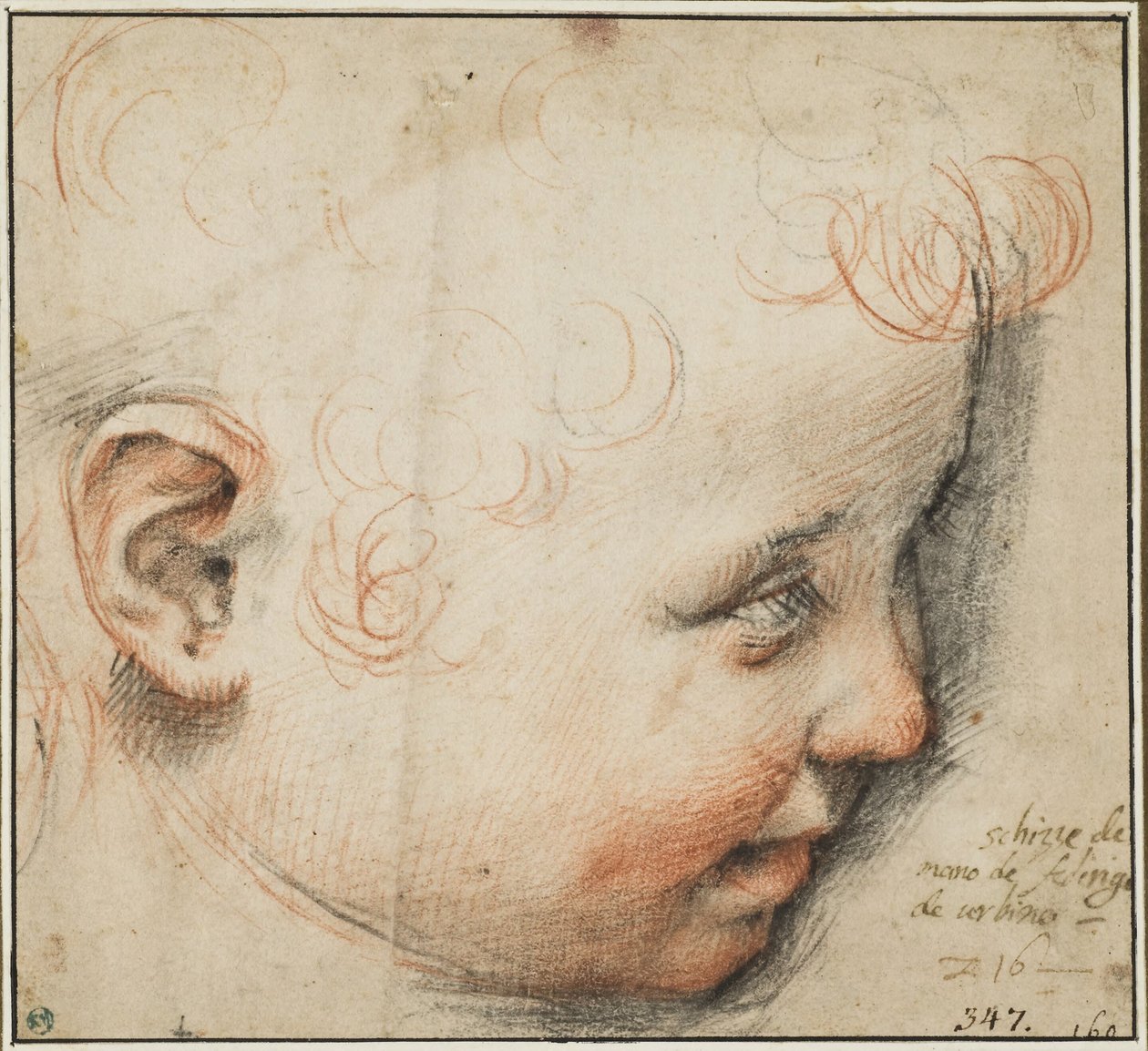 Cabeza de niño de perfil; quizá para el Niño Jesús de Federico Barocci