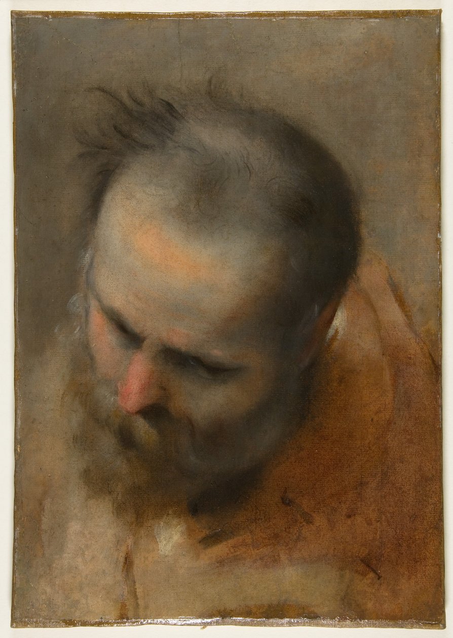 Cabeza de un hombre barbudo mirando hacia la parte inferior izquierda (Nicodemo) de Federico Barocci