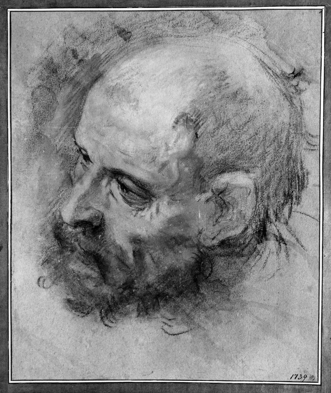Estudio de cabeza de un hombre barbudo vuelto hacia la izquierda e inclinado de lado de Federico Barocci