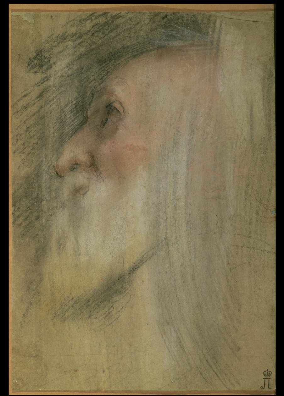 Cabeza de un anciano de perfil, c.1575-9 de Federico Barocci