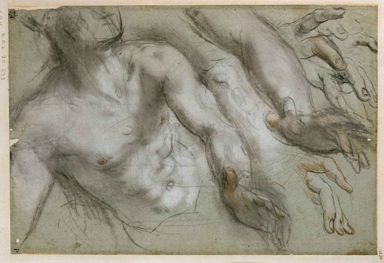 Estudio para la figura del santo en la pintura «Martirio de san Vital» de Federico Barocci