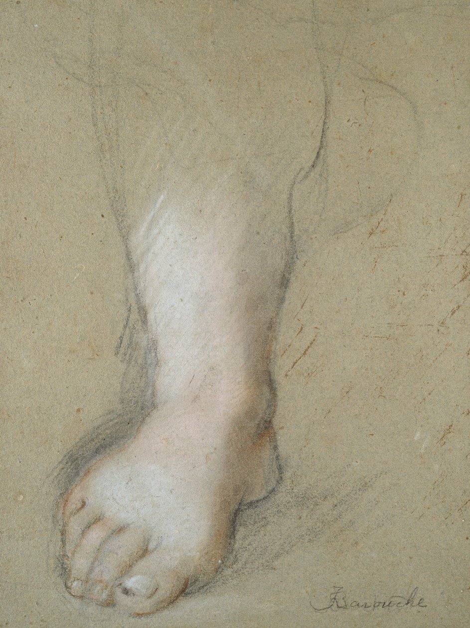 Estudio de un pie, finales del siglo XVI de Federico Barocci