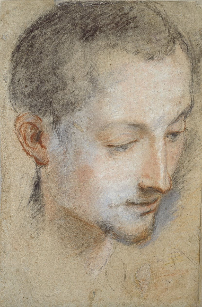 Estudio de la Cabeza de un Joven, finales del siglo XVI de Federico Barocci