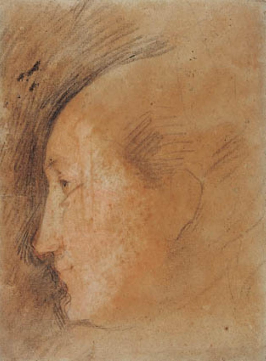 Cabeza de mujer de perfil hacia la izquierda de Federico Barocci