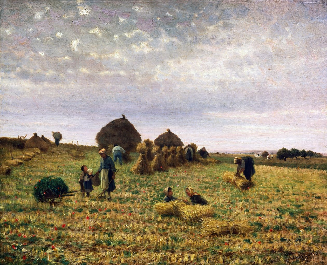 Cosecha de Federico Rossano