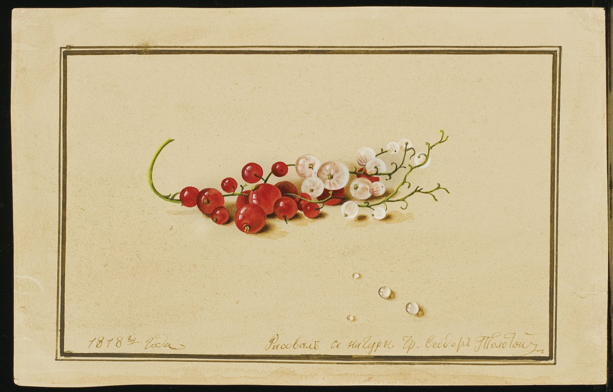 Grosellas rojas y blancas, 1818 de Fedor Petrovich Tolstoy