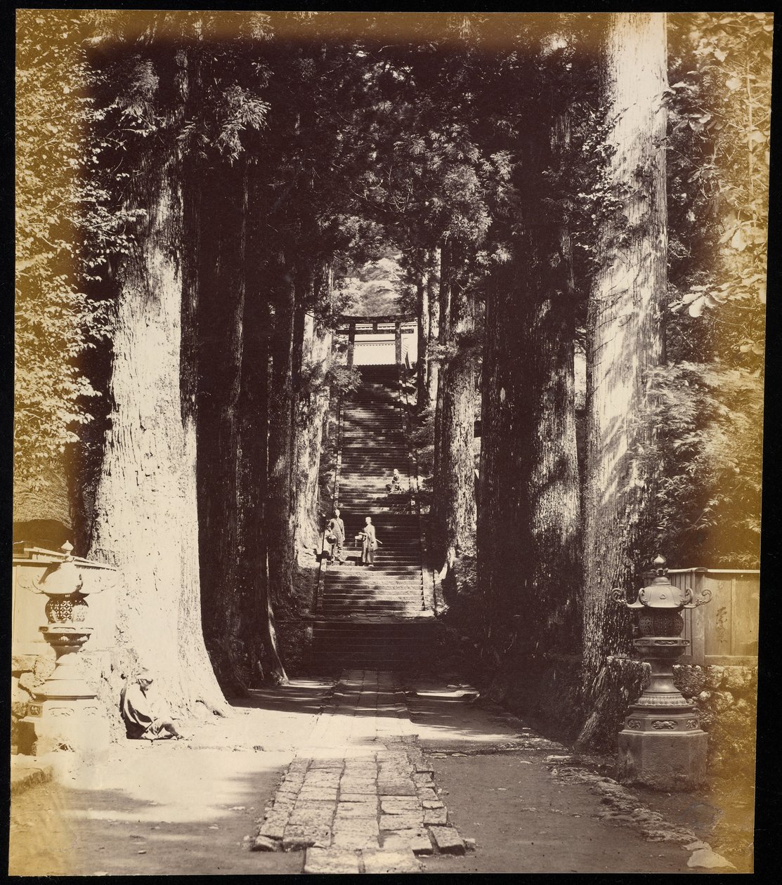 [Avenida arbolada que conduce a un templo en Hakoni] de Felice Beato