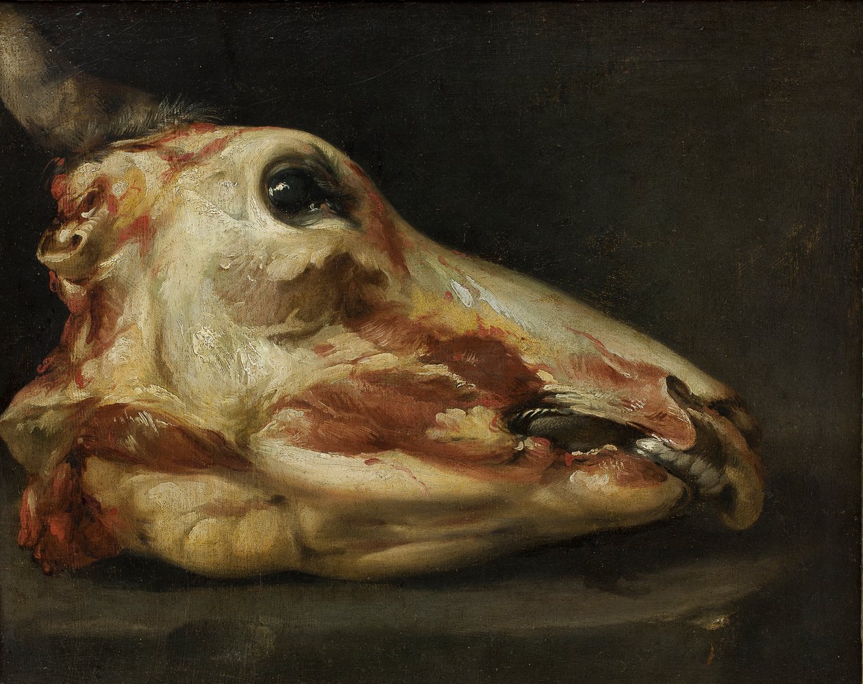 Cabeza Desollada de un Joven Toro, c.1690 de Felice Boselli