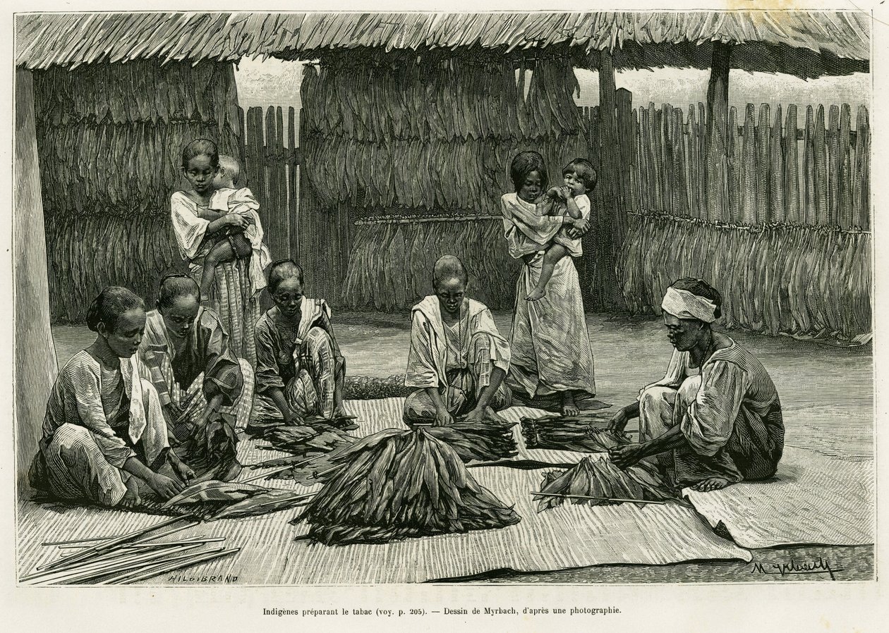 Indígenas haciendo tabaco. Grabado por Myrbach para ilustrar la historia Lucon y Palaouan, seis años en Filipinas, por Alfred Marche (1844-1898), en le tour du monde 1886, dirigido por Edouard Charton (1807-1890), Hachette, París. de Felicien baron de Myrbach Rheinfeld