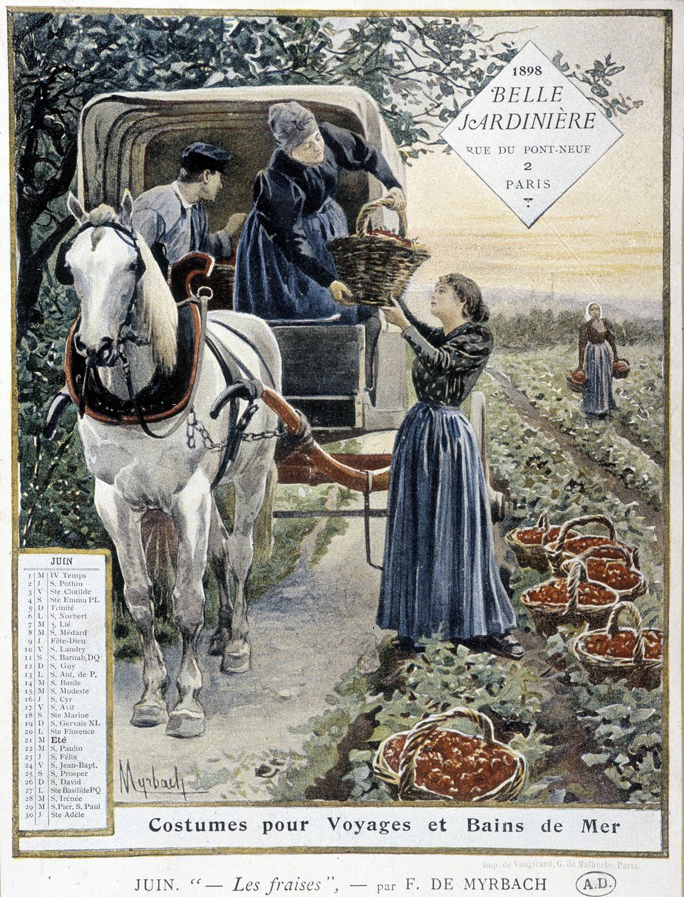 Recolección de fresas - en Calendario 