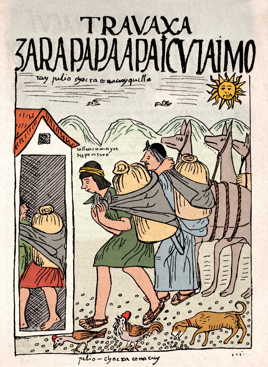 Imperio Inca: campesinos incas trabajando en los campos en julio - Dibujo a tinta del manuscrito de Don Felipe Puma de Ayala “Nueva coronica y buen gobierno” ilustrando la vida de los incas, circa 1587 Lima, Museo Nacional de Antropología, Arqueología e Hi de Felipe Huaman Poma de Ayala