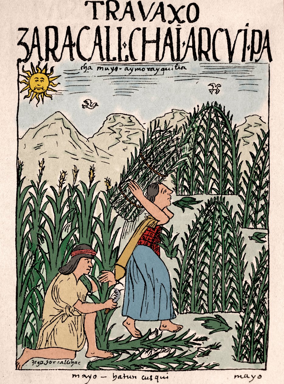 Imperio Inca: campesinos incas trabajando en los campos en mayo - Dibujo a tinta del manuscrito 