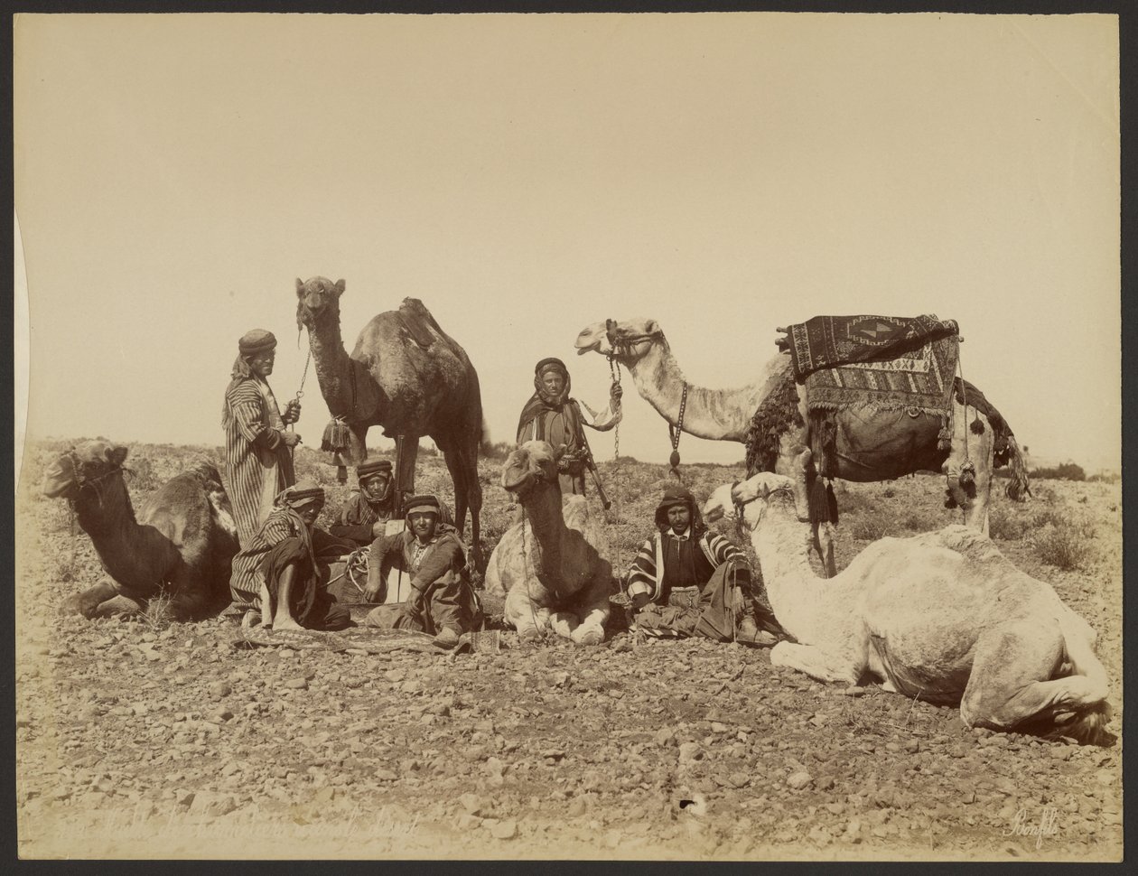 Descanso de camelleros en el desierto de Félix Bonfils