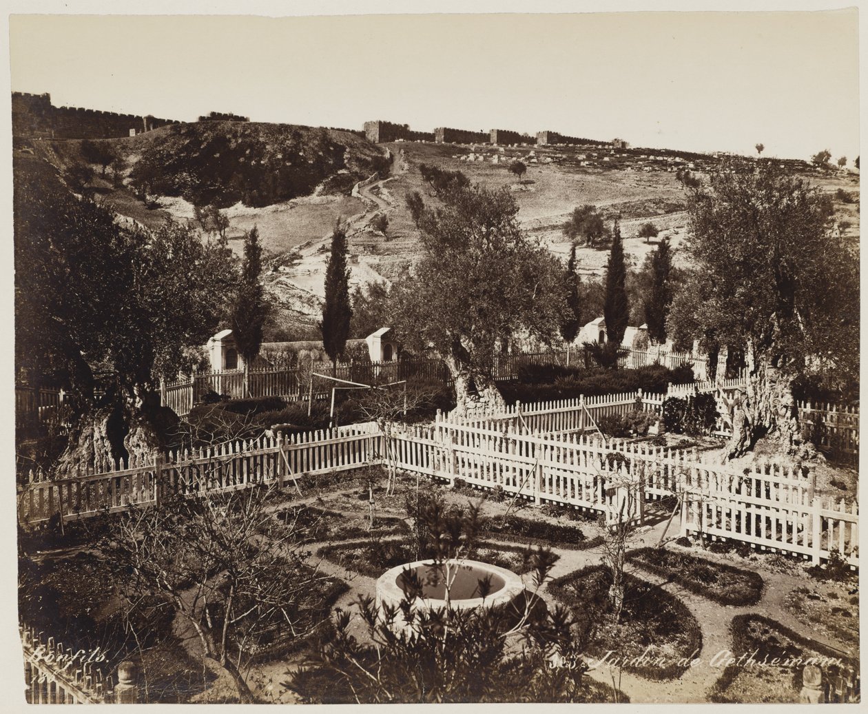 Jardin De Gethseman n.º 303 de Félix Bonfils