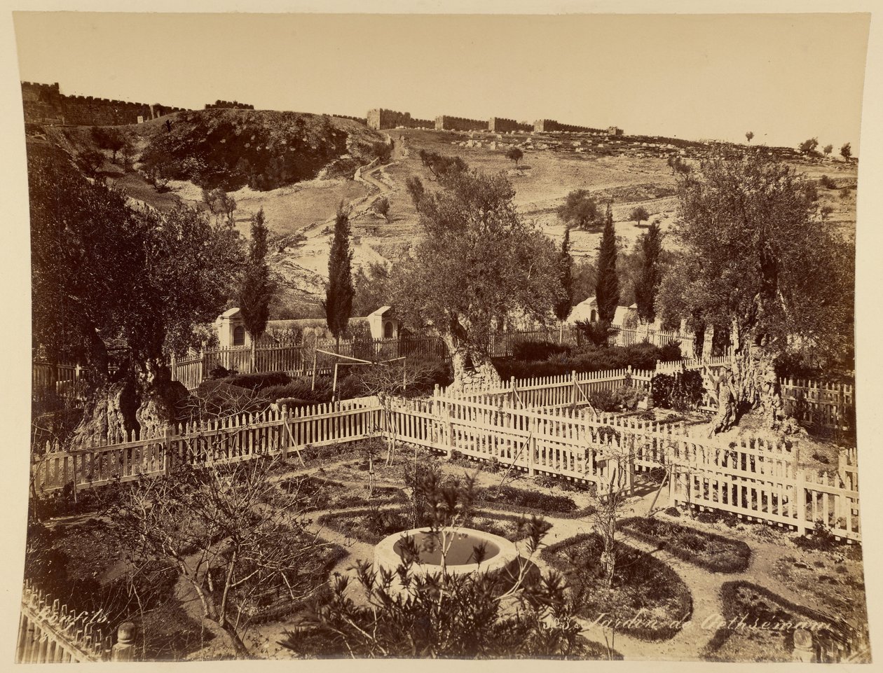 Jardín de Getsemaní de Félix Bonfils