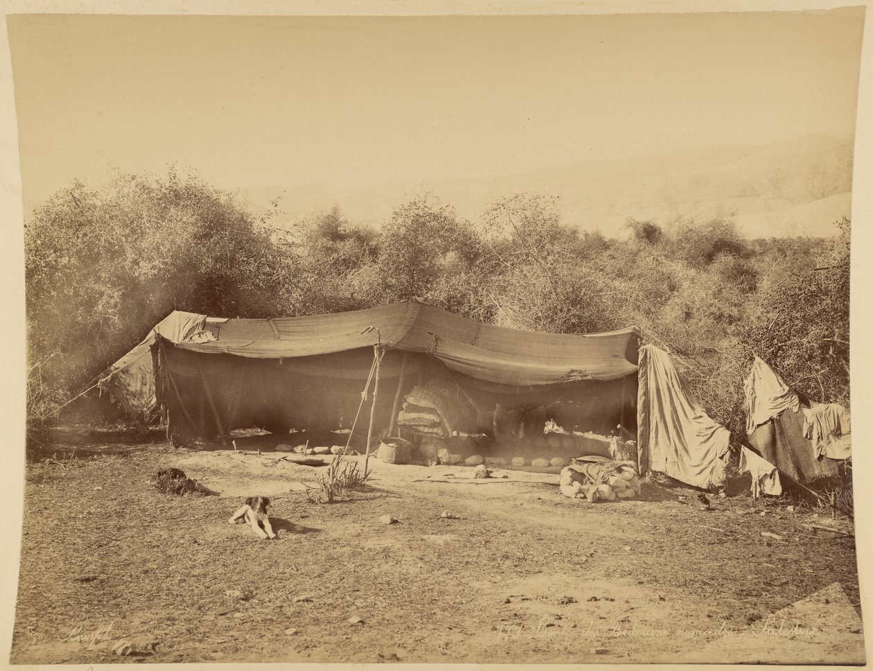 Tienda de beduinos nómadas, Palestina de Félix Bonfils