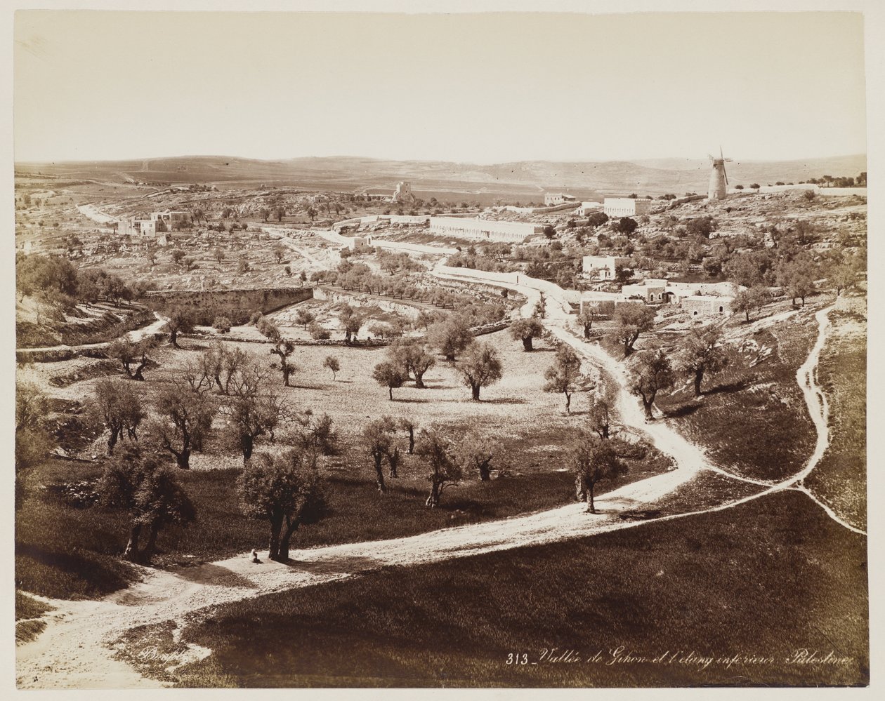 Valle de... Palestina n.º 313 de Félix Bonfils