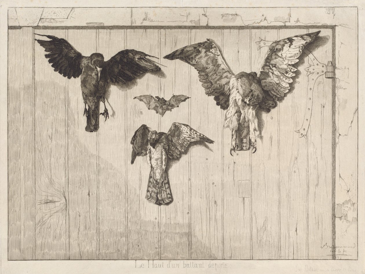 Pájaros clavados en una puerta de granero (Le haut d