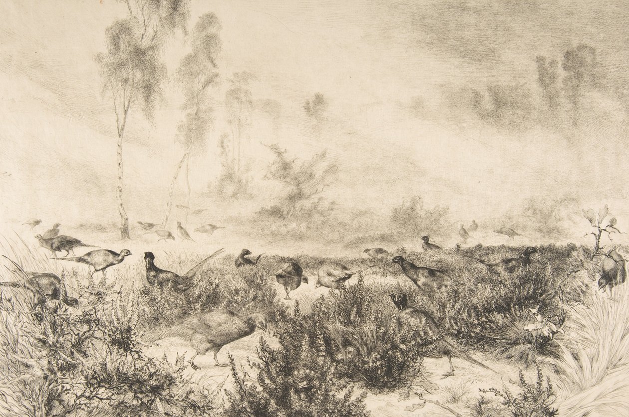 Brumas de la mañana, 1882 de Felix Bracquemond