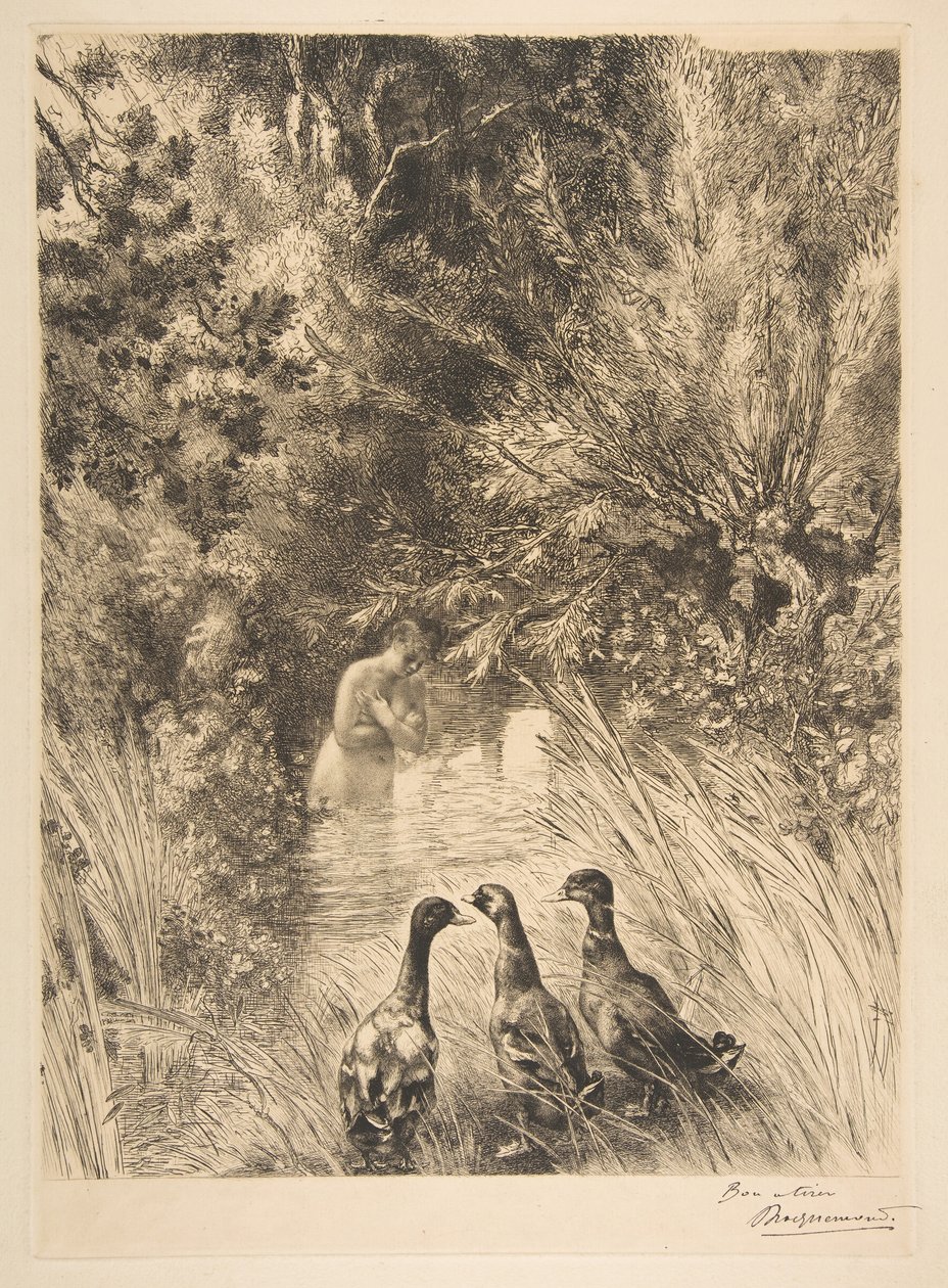 Patos sorprendidos, 1882 de Felix Bracquemond