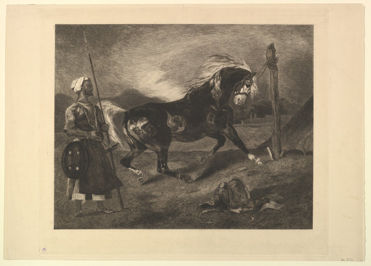Caballo árabe en el poste, después de Delacroix, 1857 de Felix Bracquemond