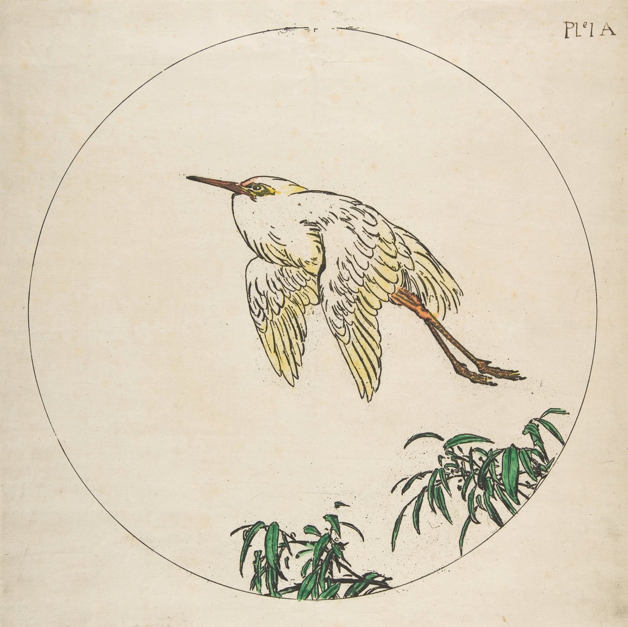 Decoración para un plato: Una garza volando sobre ramas de bambú, 1850-1914 de Felix Bracquemond