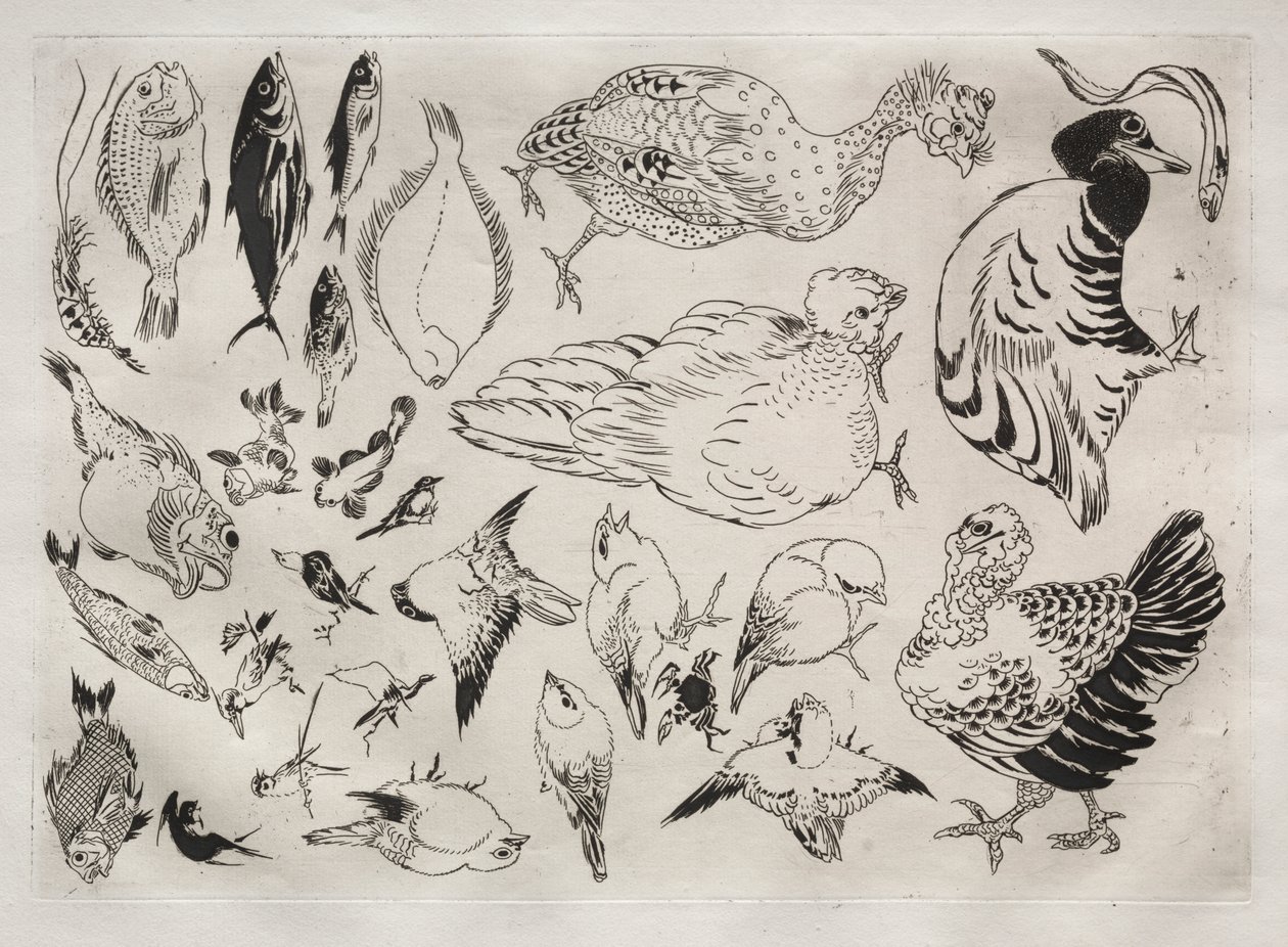 Servicio de Cena (servicio Rousseau): Patos, peces, etc. (n.º 12) de Felix Bracquemond