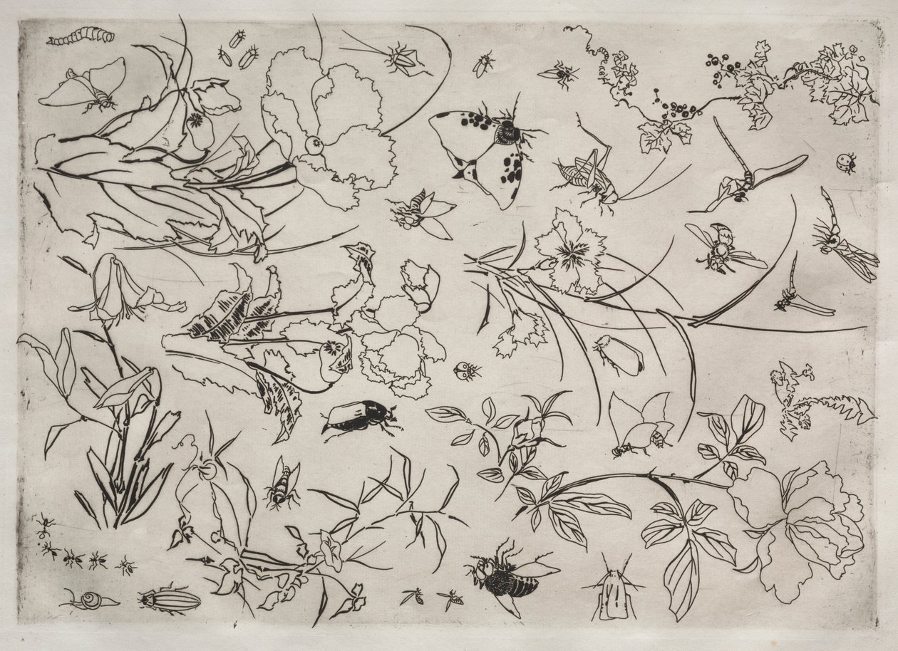 Servicio de Cena (servicio Rousseau): Flores e Insectos (n.º 15) de Felix Bracquemond