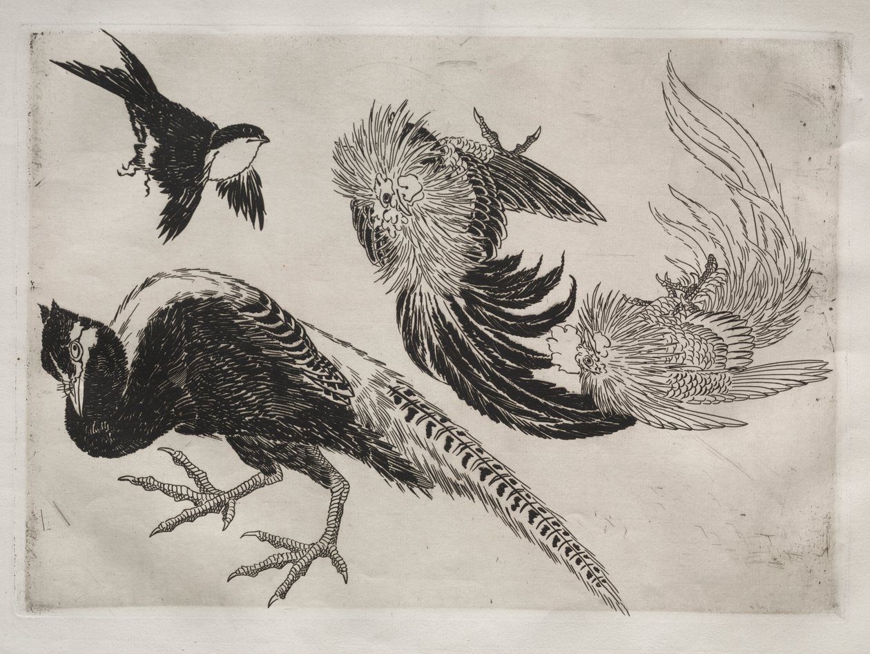 Servicio de Cena (servicio Rousseau): Faisanes y pájaro (n.º 18) de Felix Bracquemond