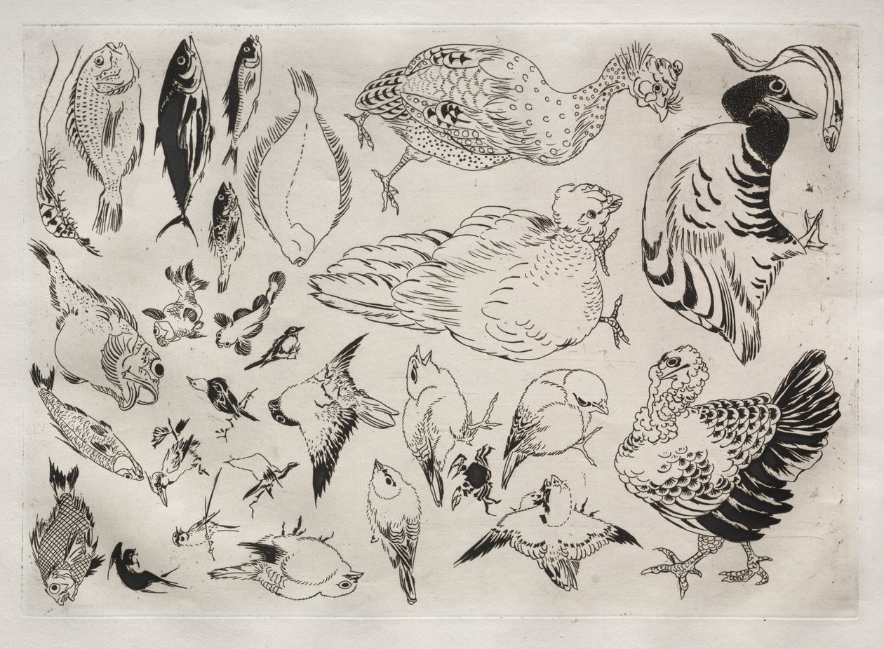 Servicio de Cena Rousseau: Patos, peces, etc. no. 12 de Felix Bracquemond