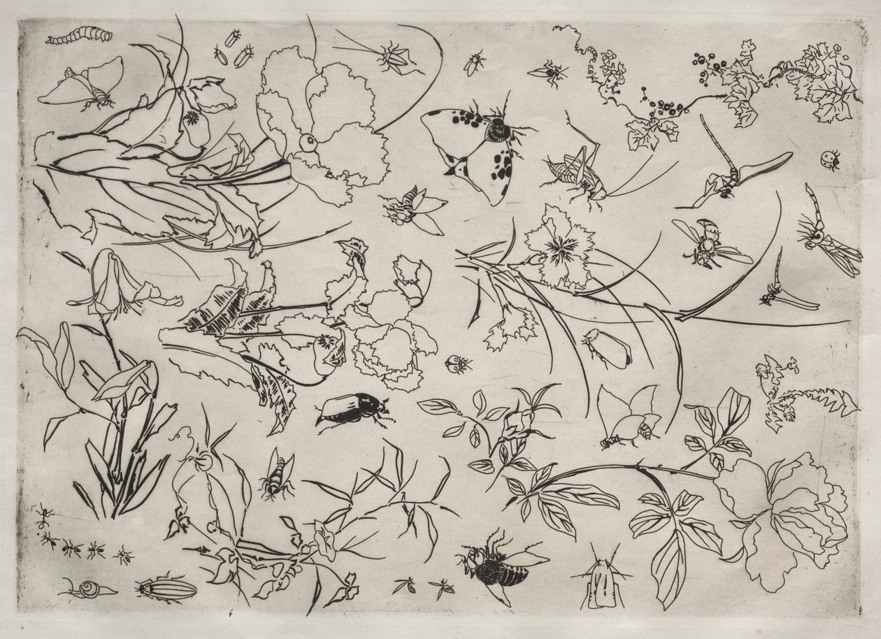 Servicio de Cena servicio Rousseau: Flores e Insectos no. 15, 1866 de Felix Bracquemond
