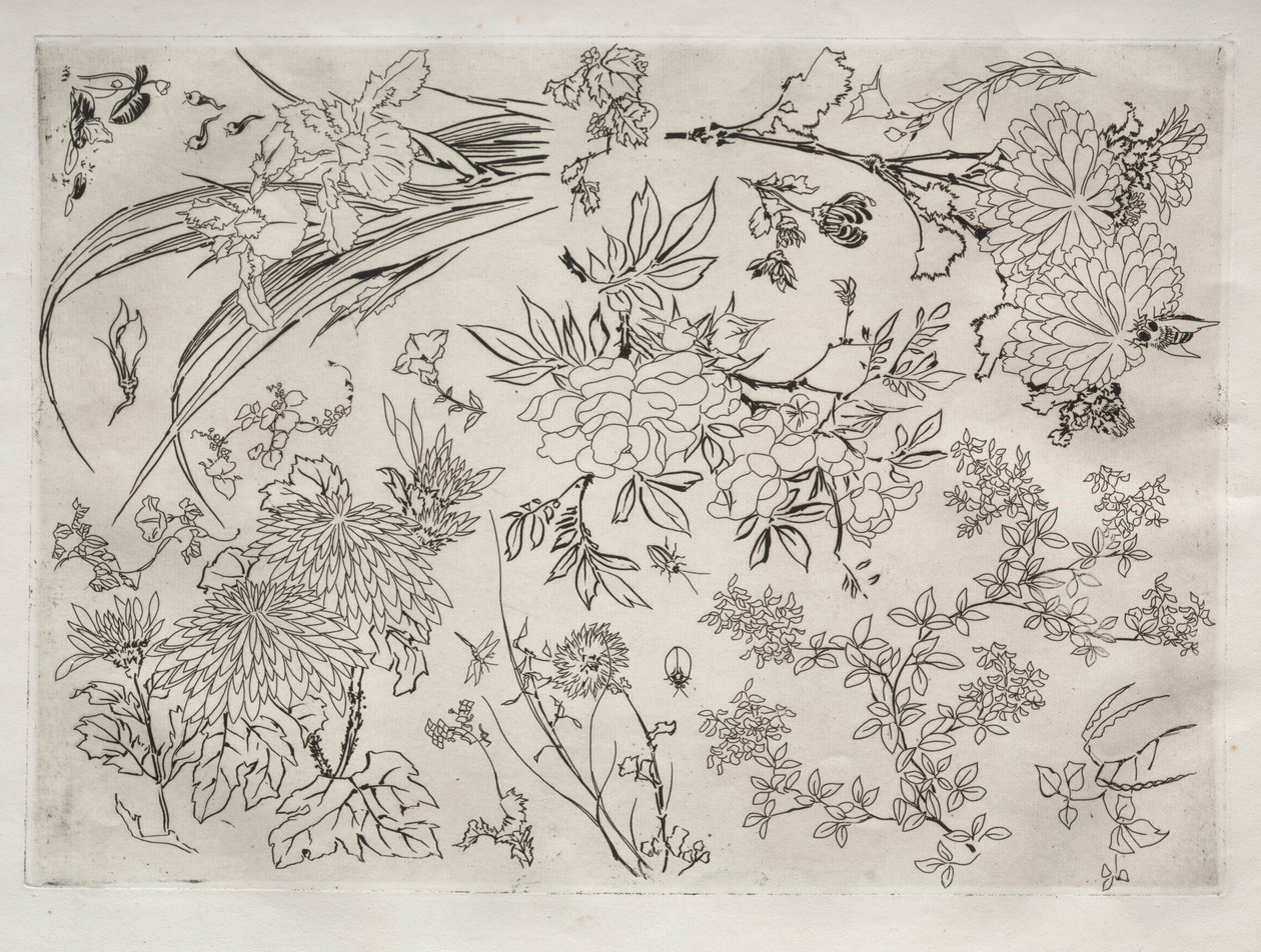 Servicio de cena Rousseau: Flores no. 23, 1866 de Felix Bracquemond